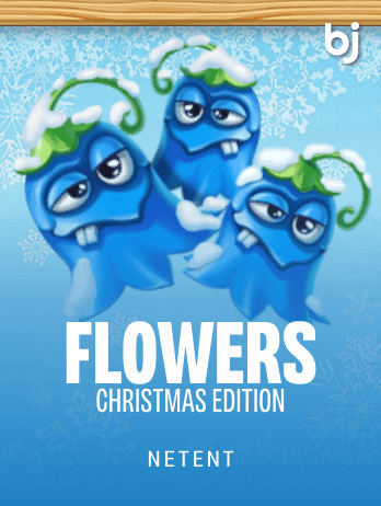 Flowers Christmas Edition
